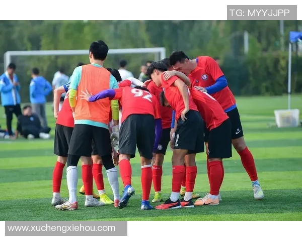 男足球明星的光辉岁月与荣耀瞬间展现他们的魅力与奋斗精神